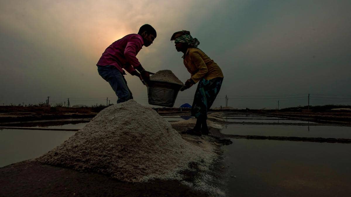 News in Frames | In pursuit of salt and survival